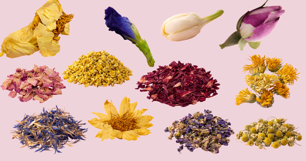 The Meaning Behind Every Botanical in Her.Tea™